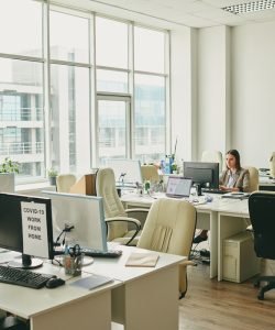 Young elegant businesswoman sitting by desk in the corner of modern office and looking at computer screen during pandemic period